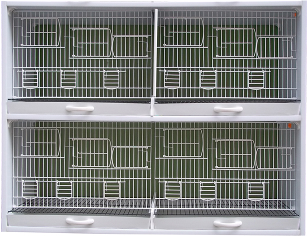 PVC KAFES - mikasz